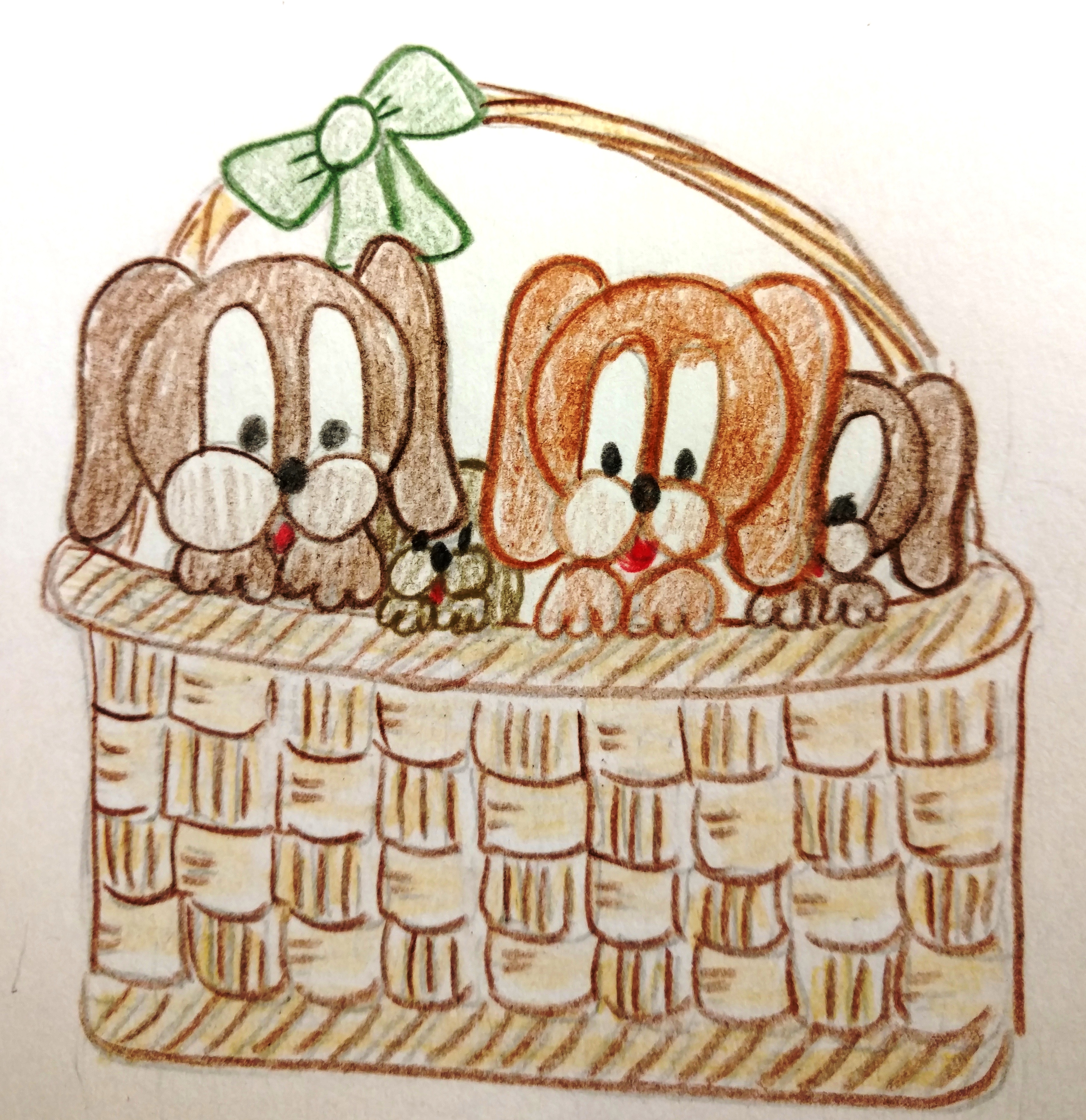 IMG_20180221_155247802