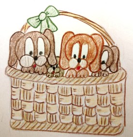 IMG_20180221_155247802