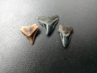 IMG_20180226_085126147