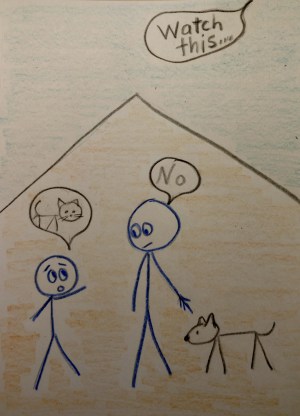 IMG_20180320_224711373