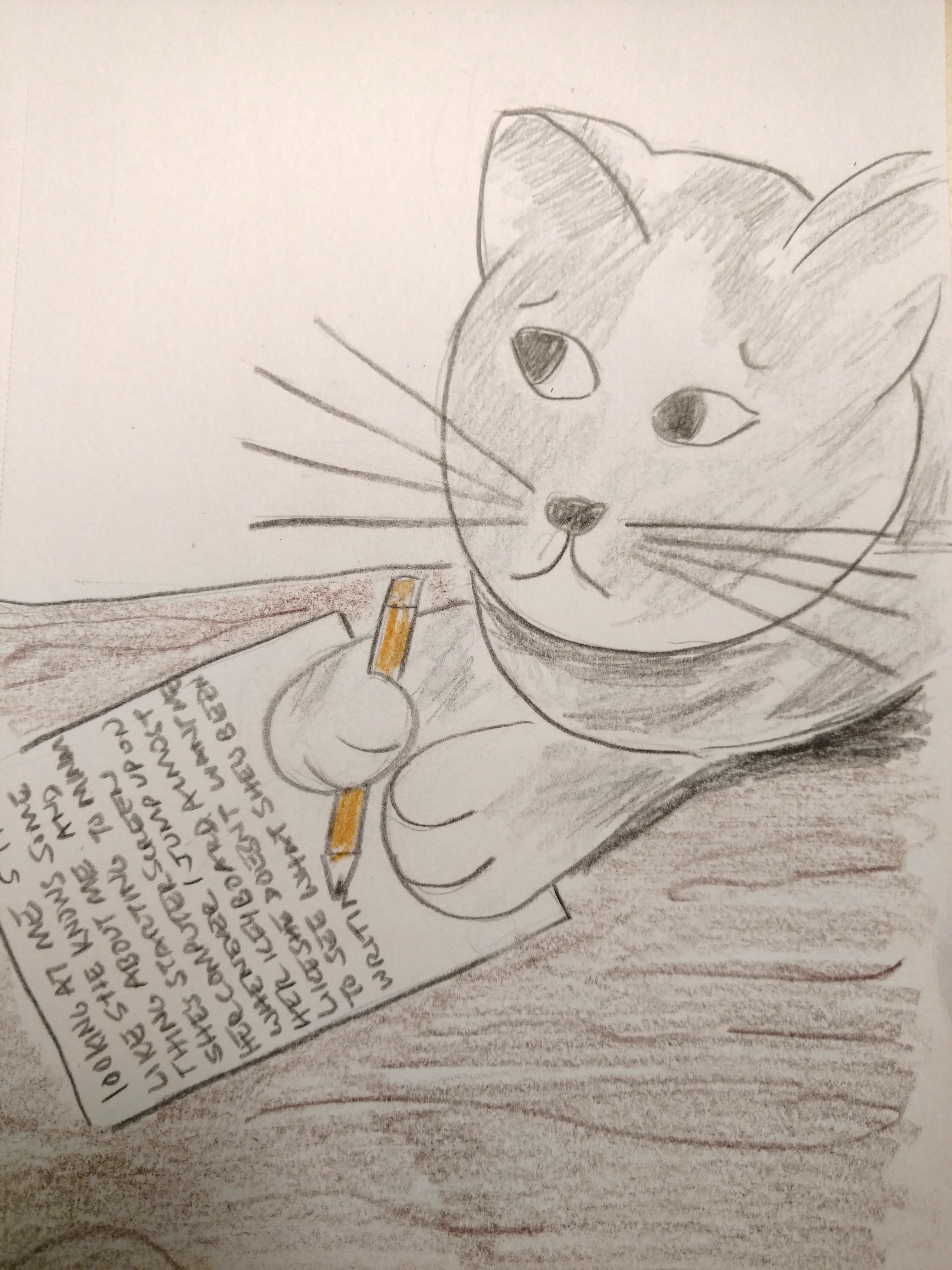 IMG_20180326_011903589