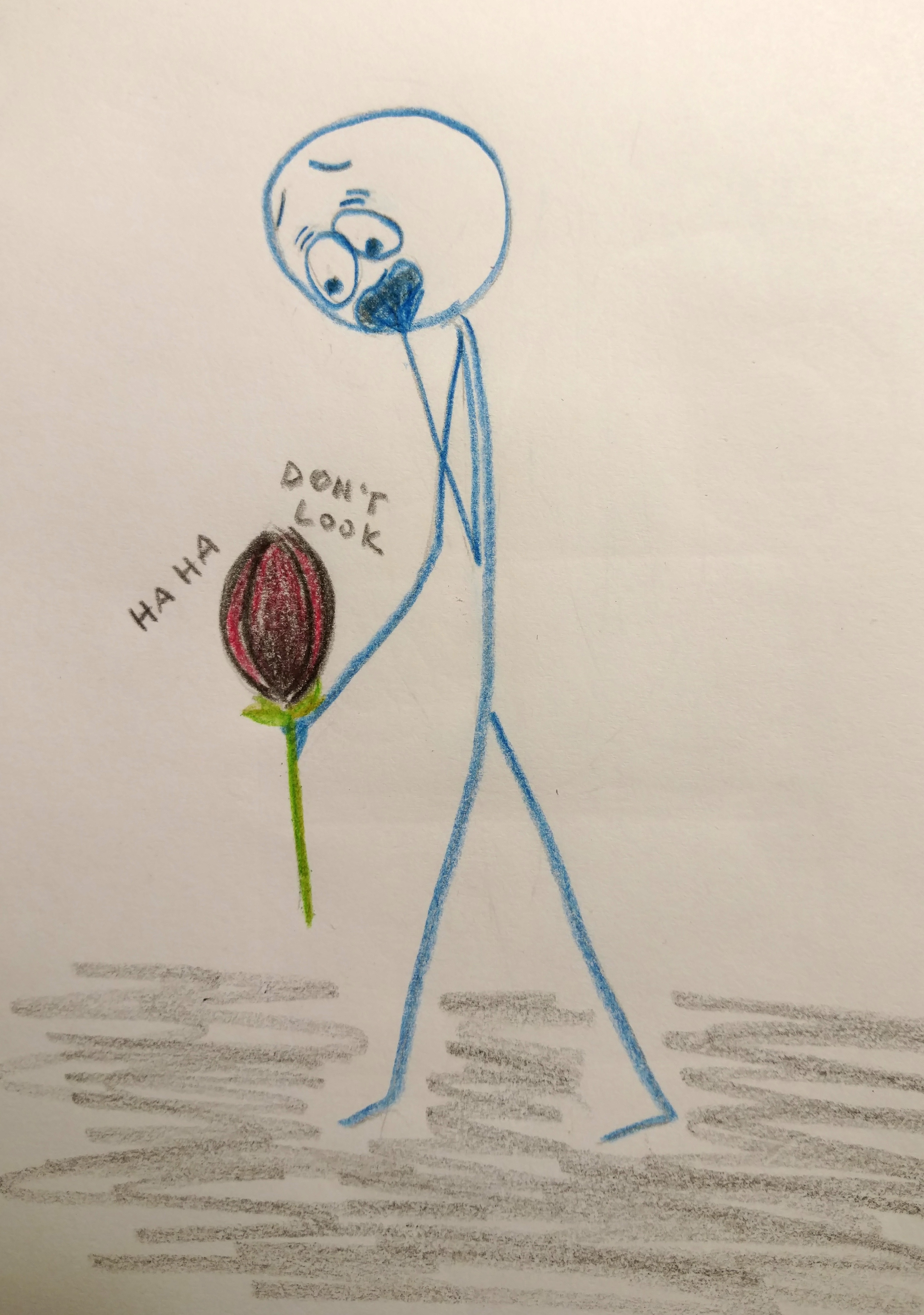 IMG_20180416_204207978