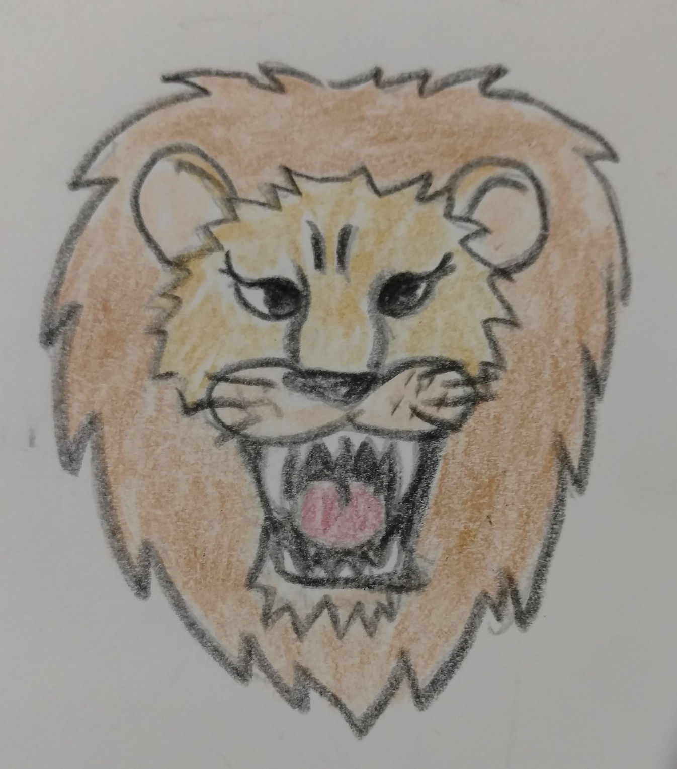 IMG_20180425_174745482