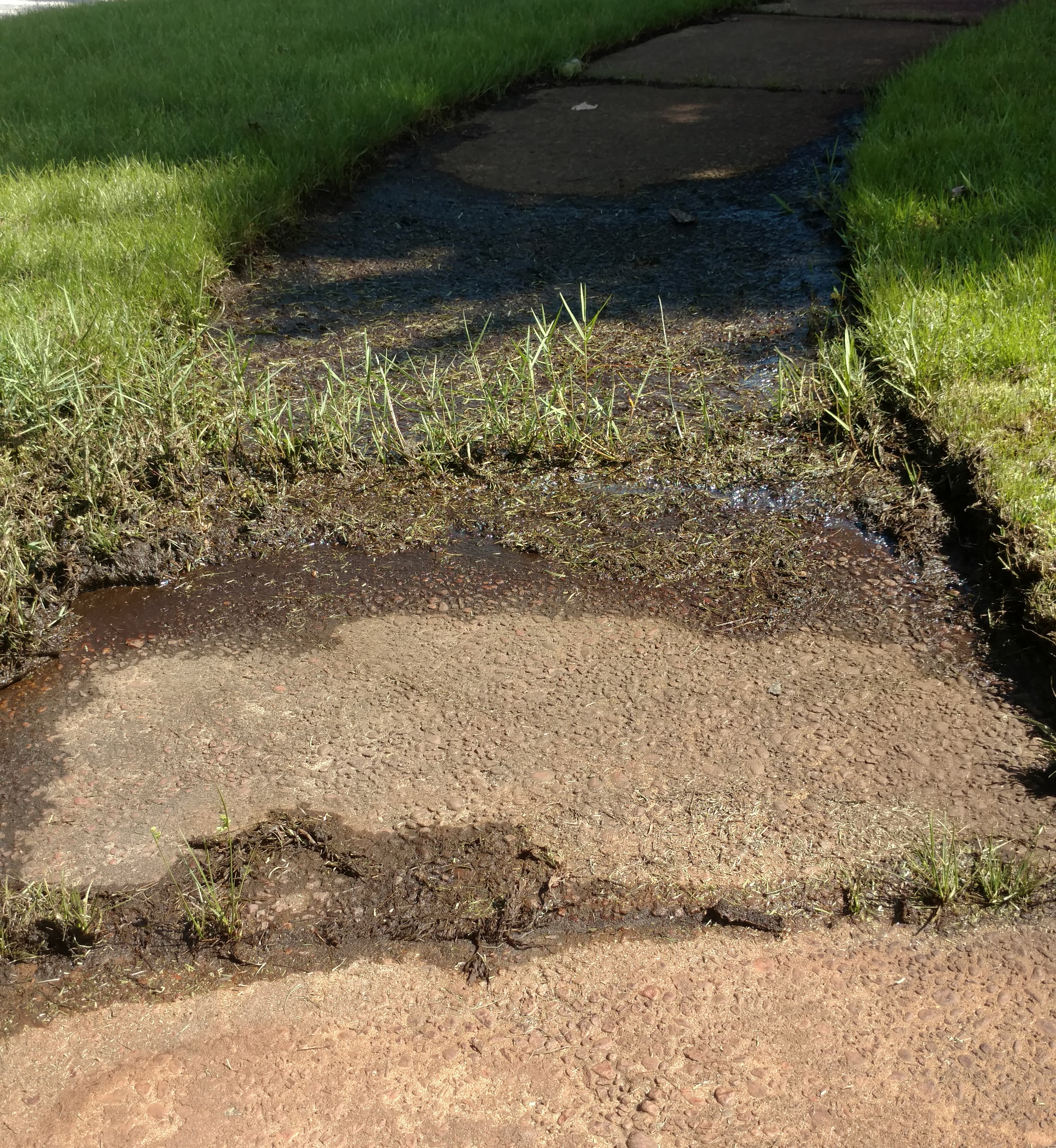 IMG_20170808_152159289