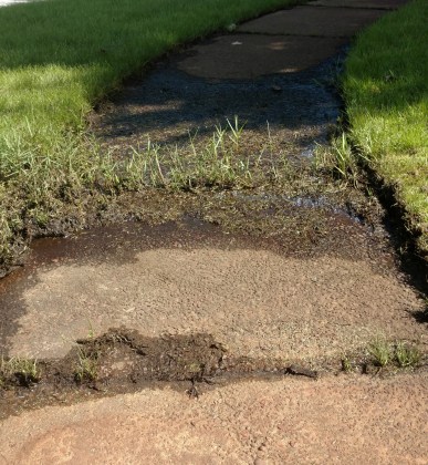 IMG_20170808_152159289