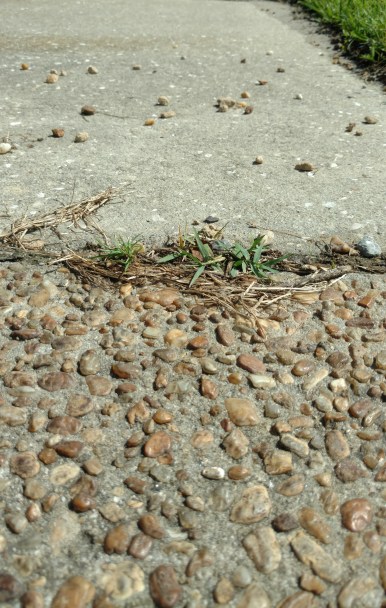 IMG_20170808_153148884_TOP