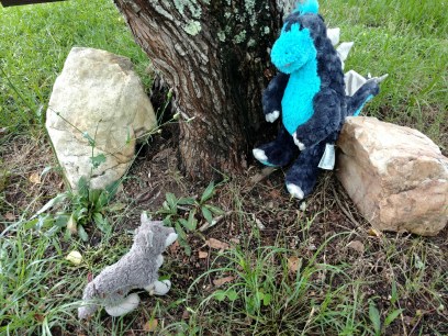 IMG_20180529_130216925