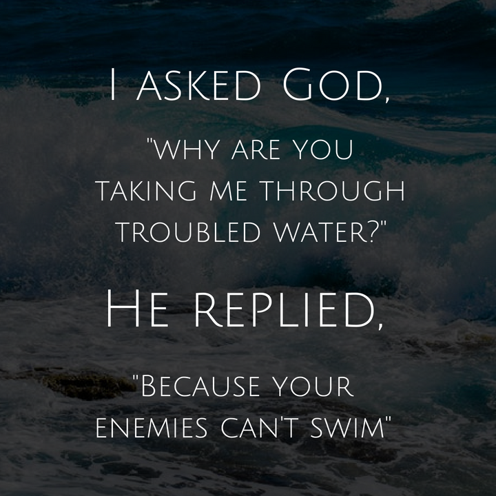 34119097_186720708655127_7242862402197258240_n