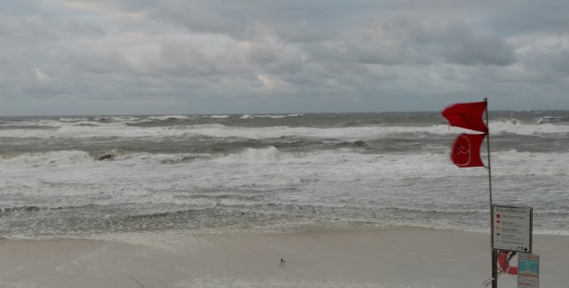 IMG_20170123_070417315