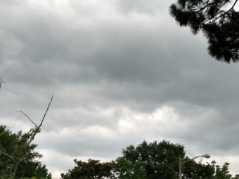 IMG_20180603_173558743_HDR