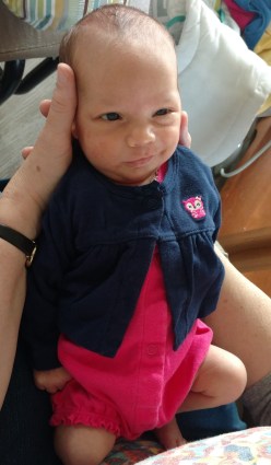 IMG_20180719_083411617 (2)