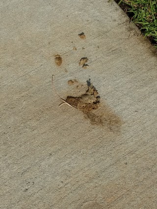 IMG_20180810_171356045