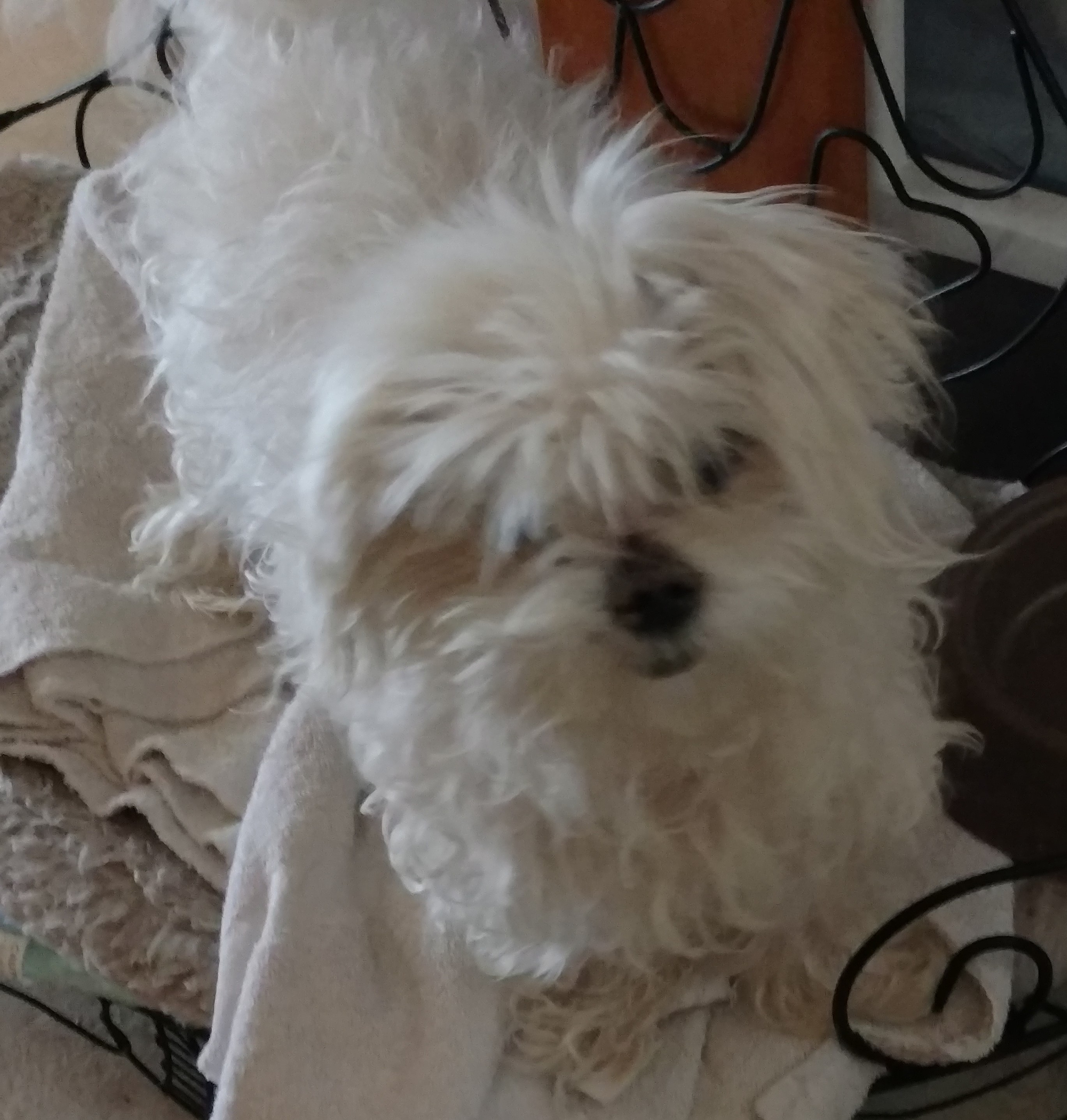 IMG_20180906_163204643 (2)