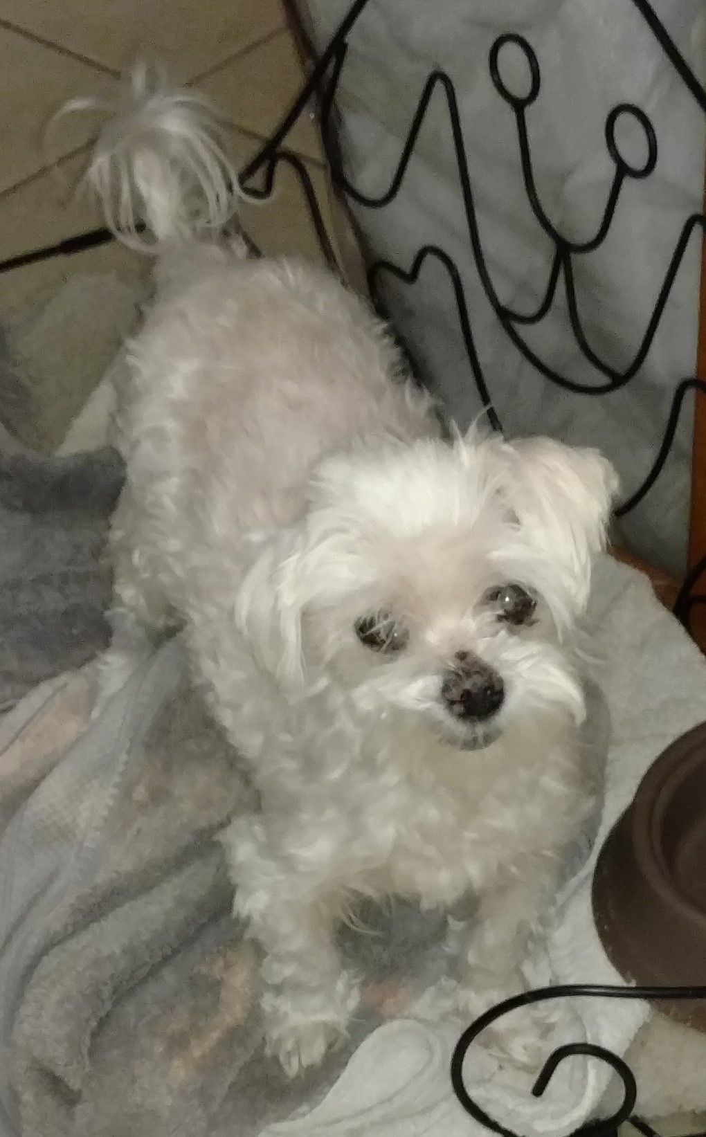 IMG_20180908_202540302 (2)