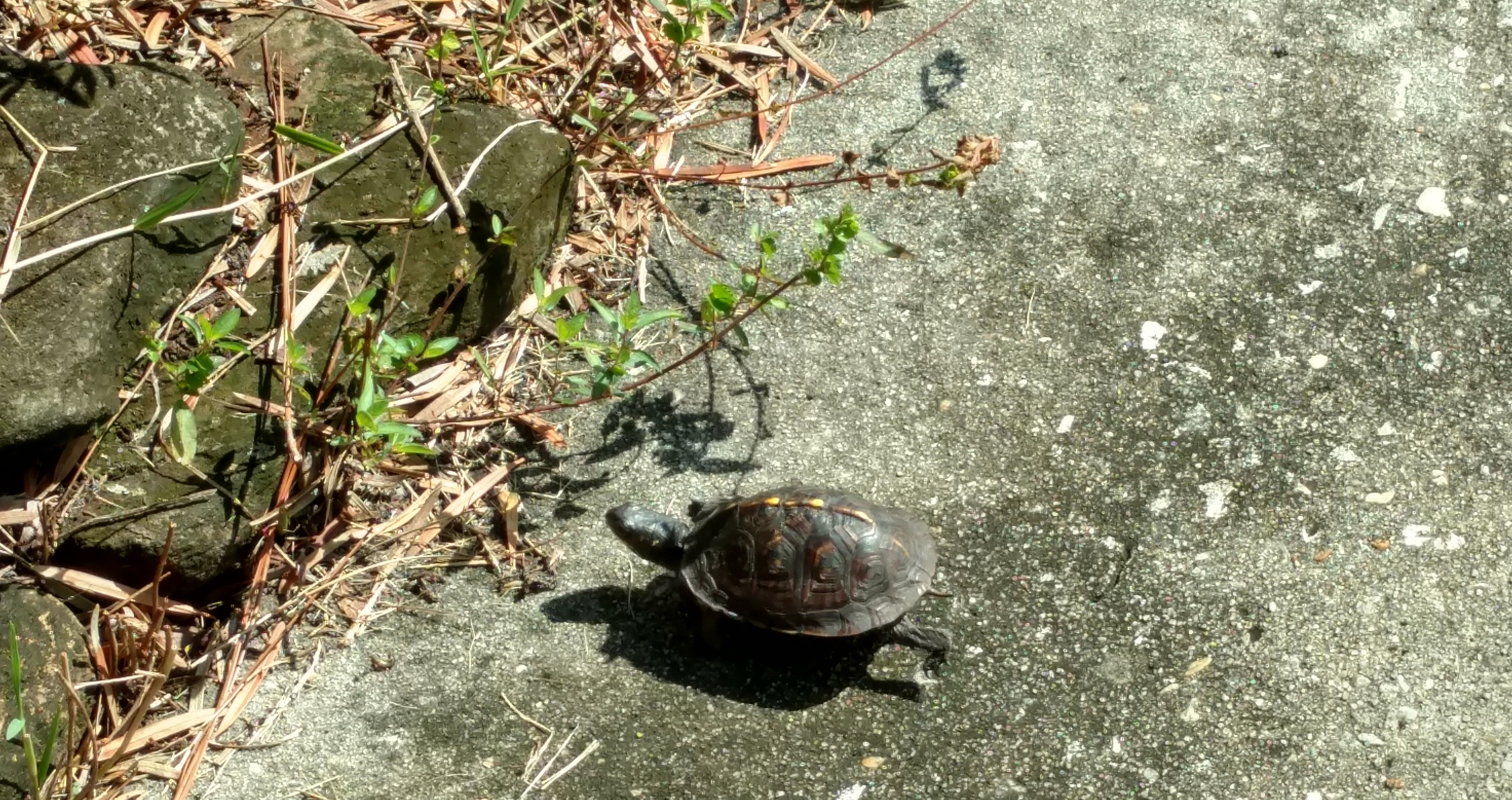 IMG_20180924_101328100_HDR (2)