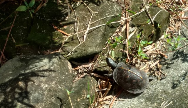 IMG_20180924_101335430_HDR (2)