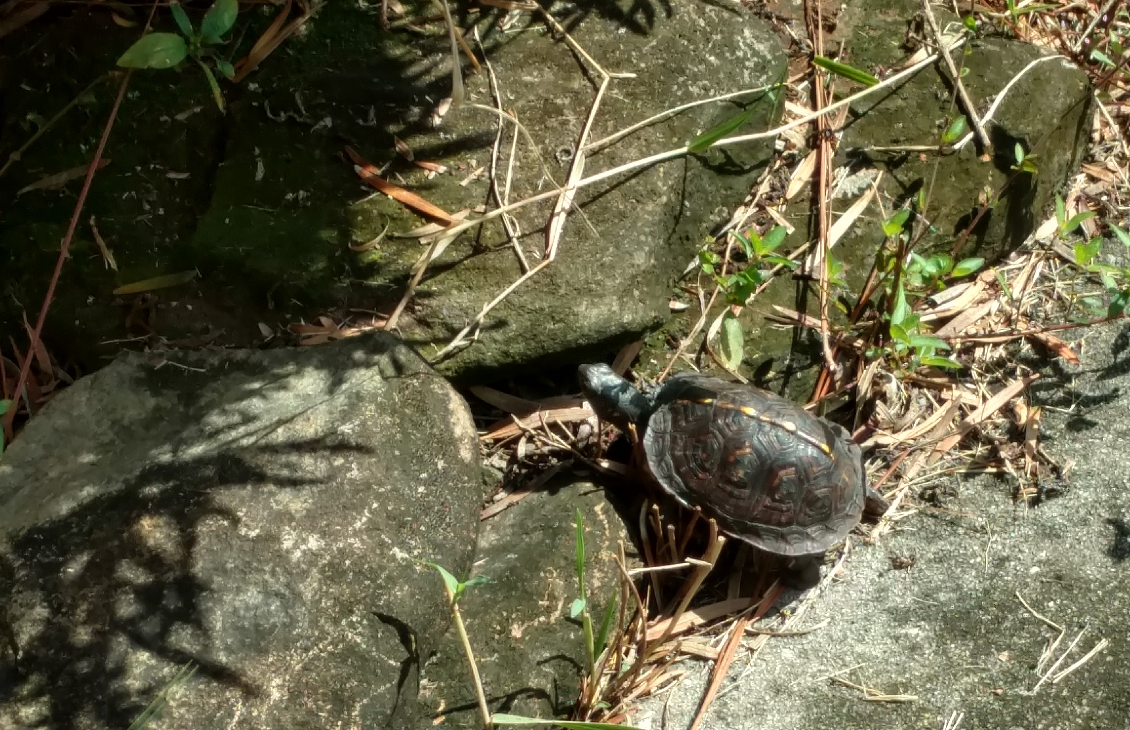 IMG_20180924_101337332_HDR (2)