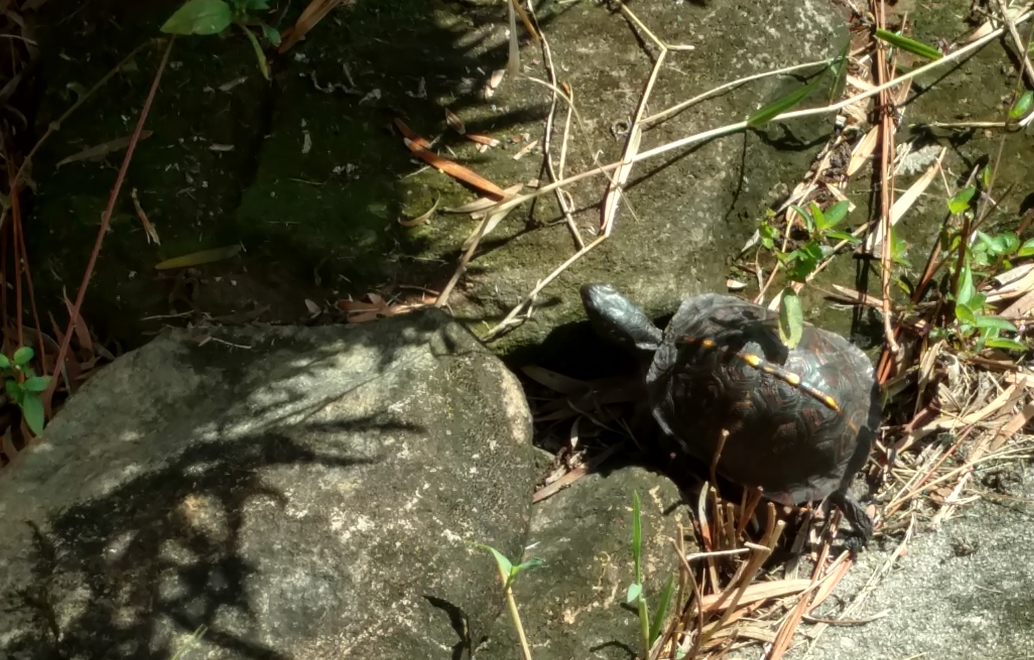 IMG_20180924_101342280_HDR (2)