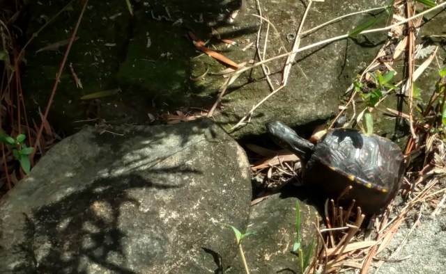 IMG_20180924_101343910_HDR (2)