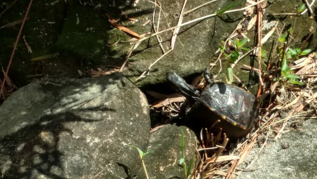 IMG_20180924_101348853_HDR (2)