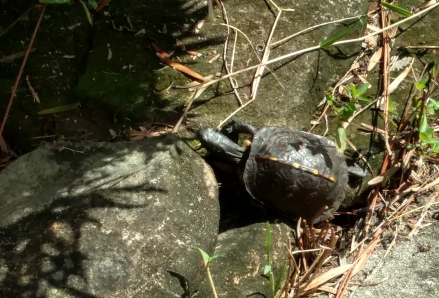 IMG_20180924_101357023_HDR (2)