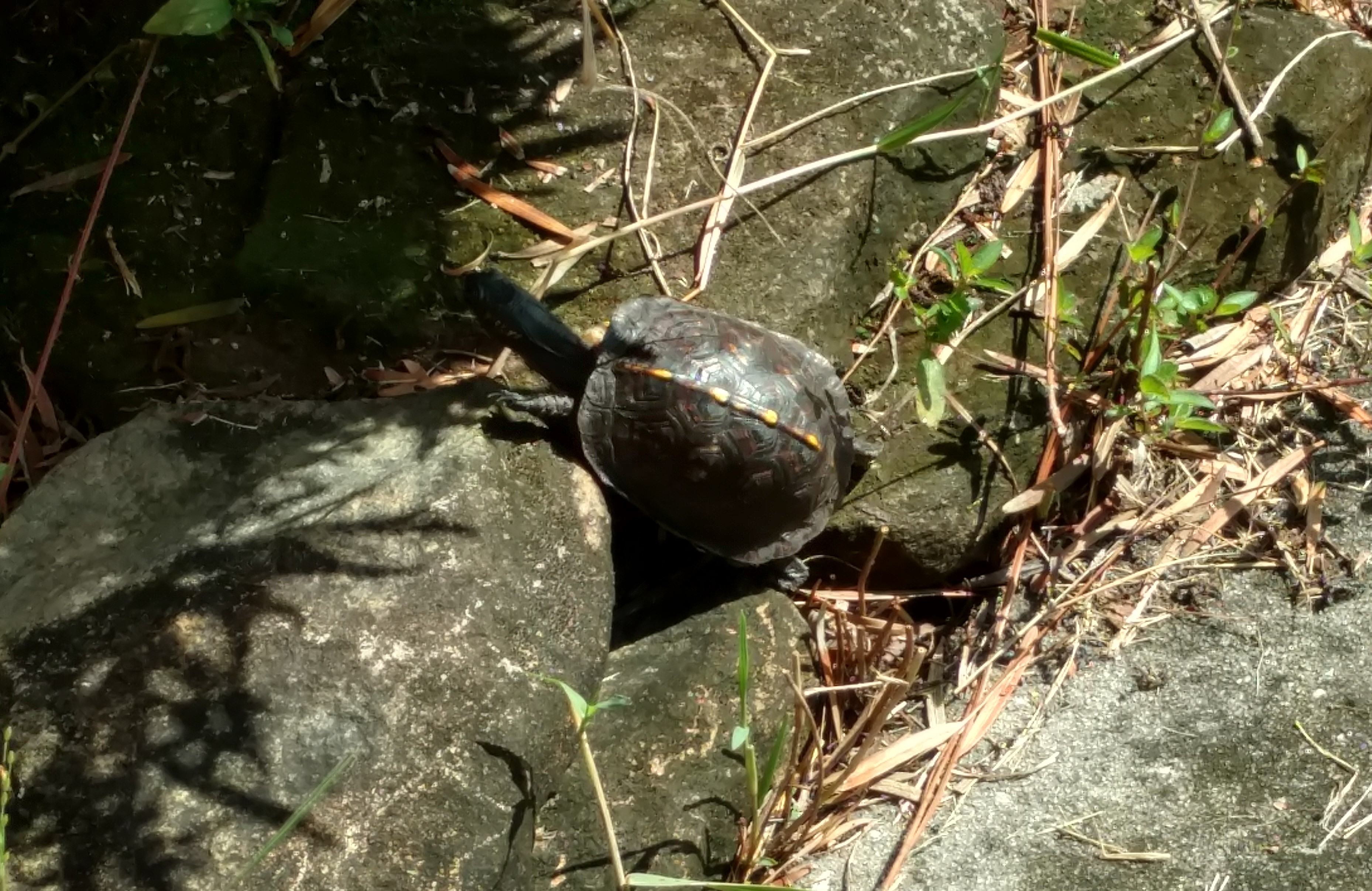 IMG_20180924_101358693_HDR (2)