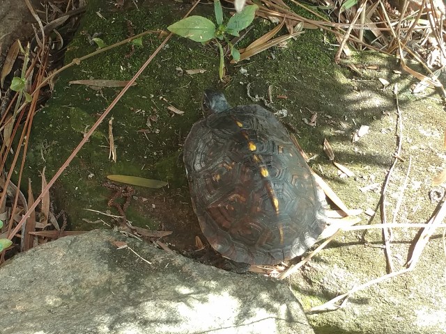 IMG_20180924_101427593