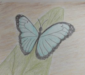 IMG_20181005_154120386