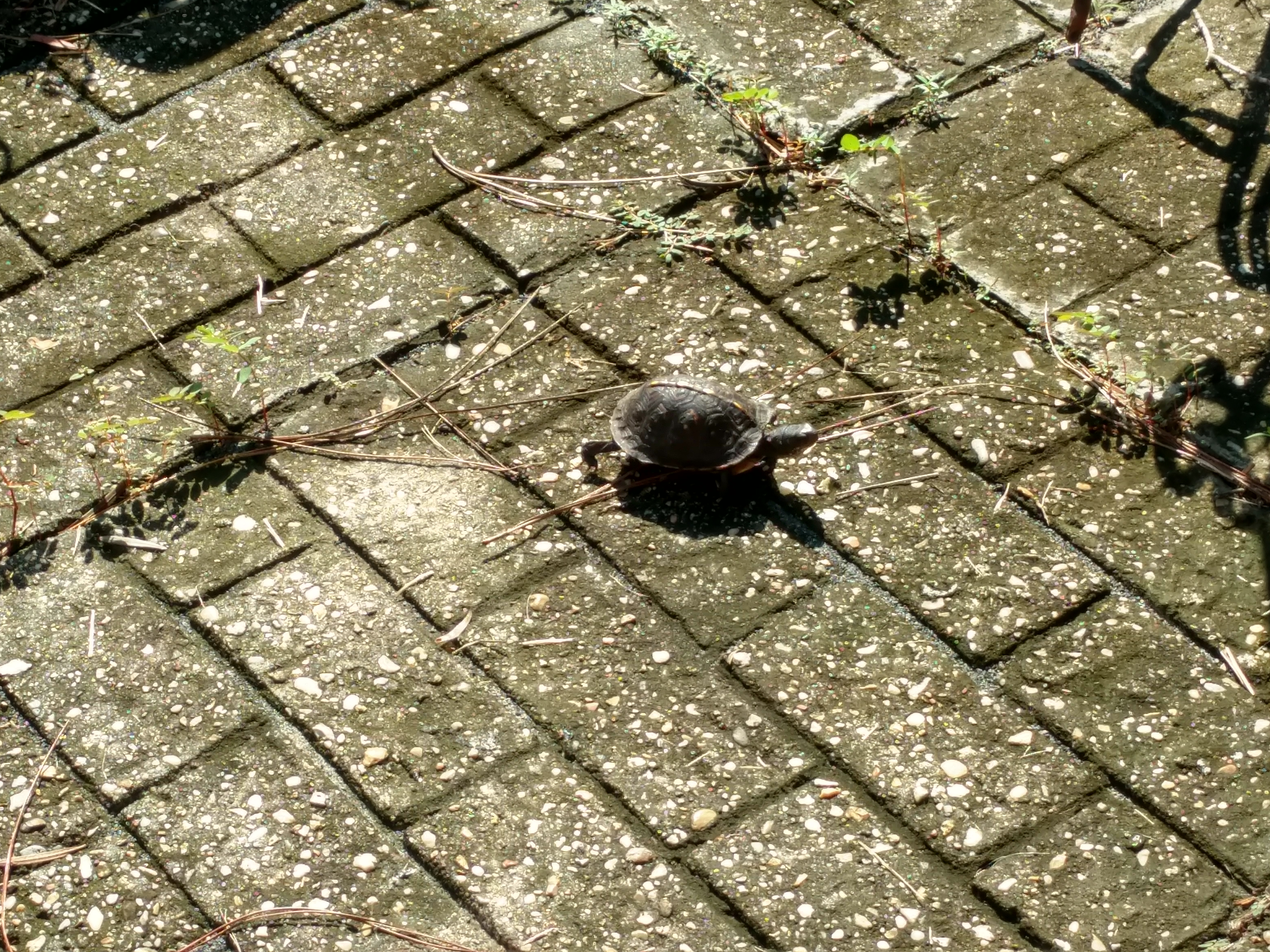 IMG_20180924_101245452_HDR