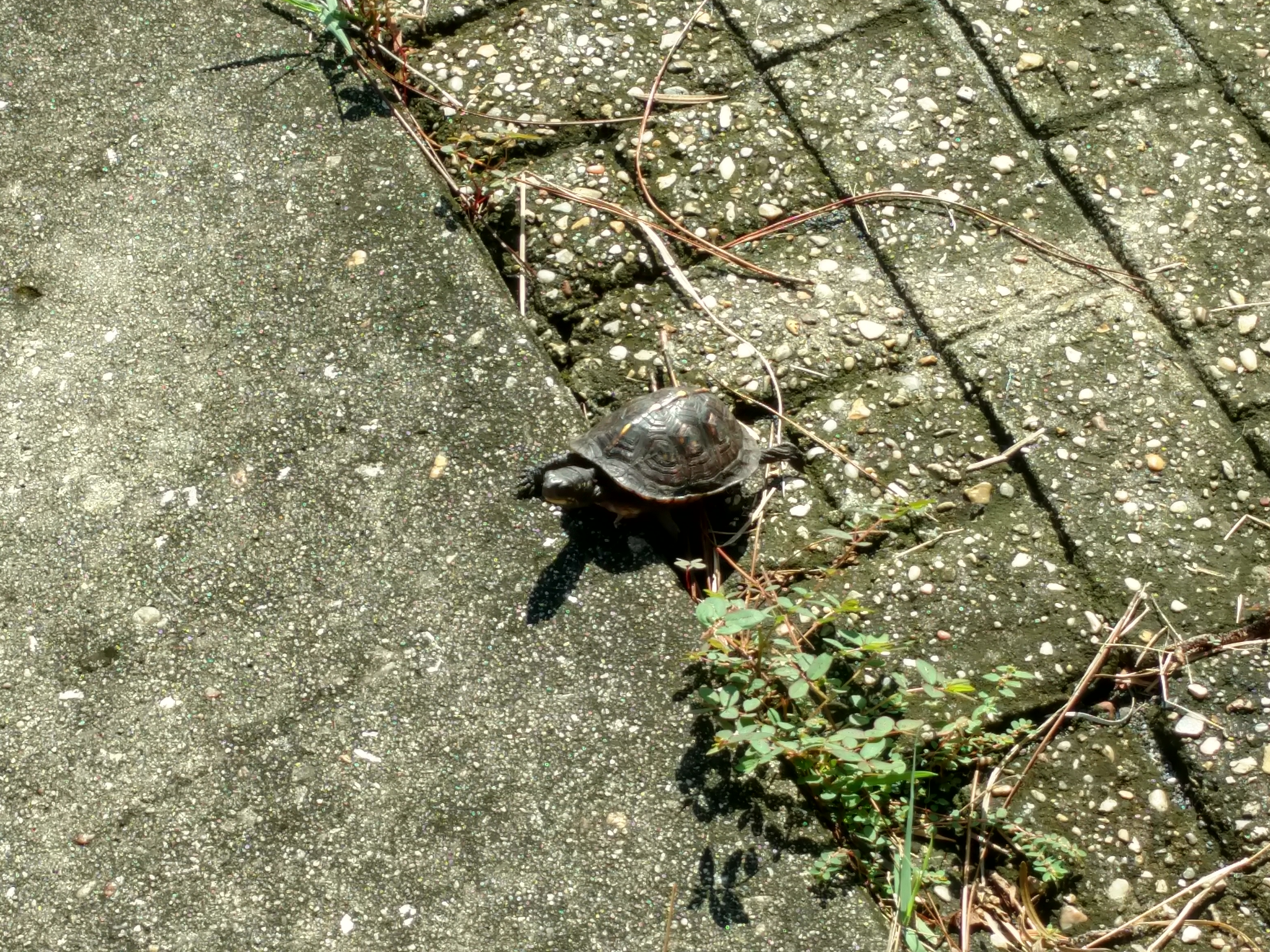 IMG_20180924_101307521_HDR