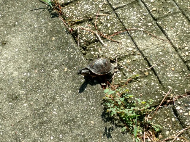 IMG_20180924_101307521_HDR