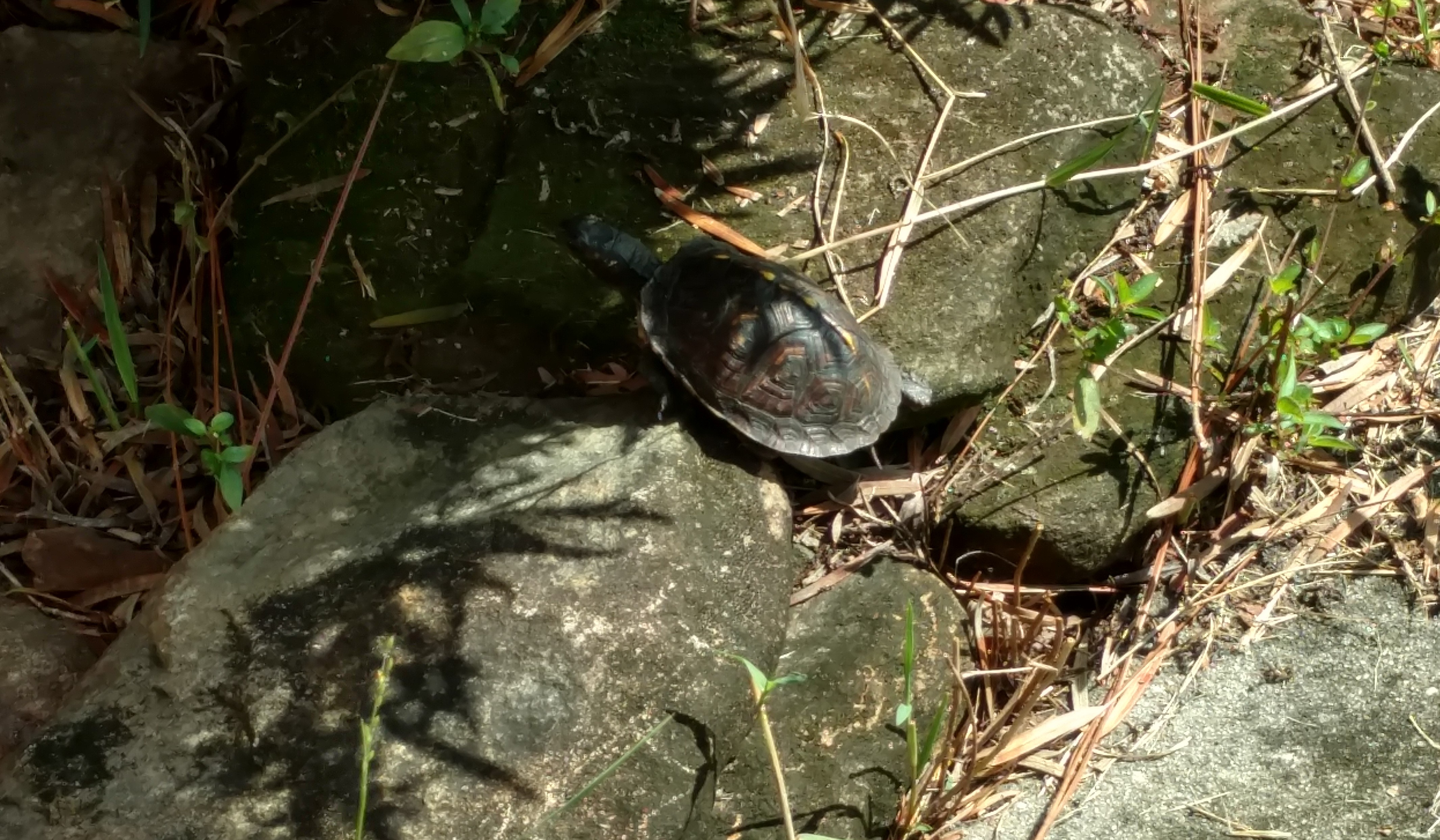 IMG_20180924_101401482_HDR (2)