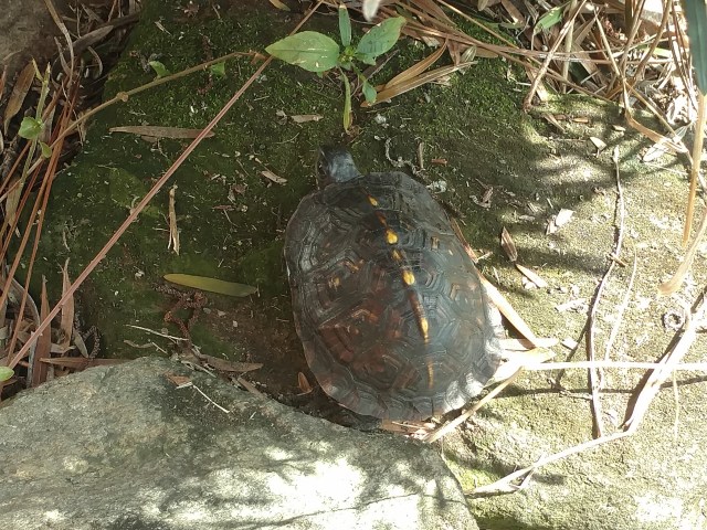 IMG_20180924_101431167